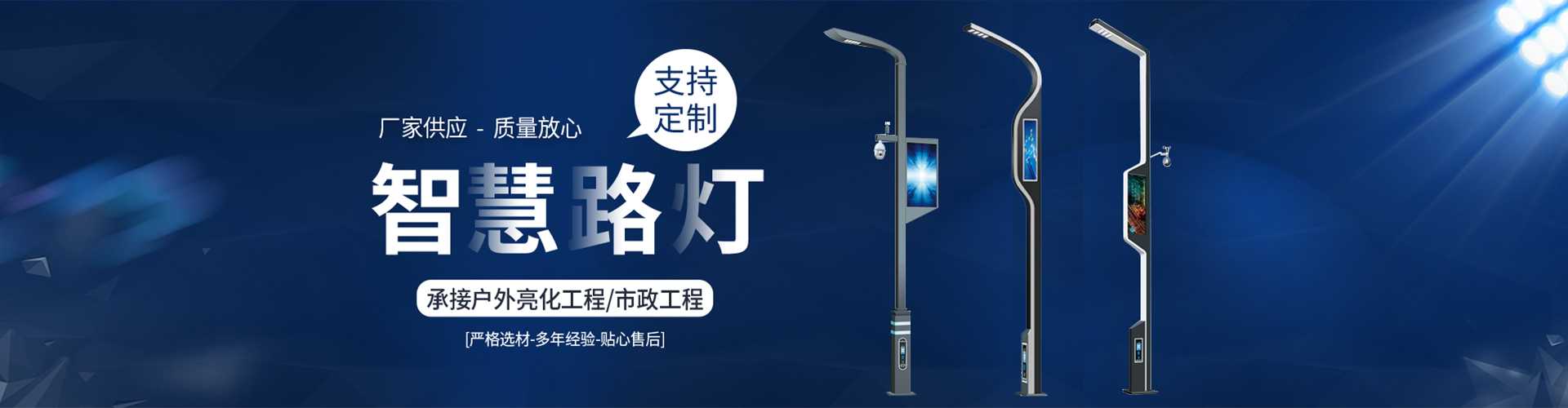 龙圩区太阳能路灯定制厂家