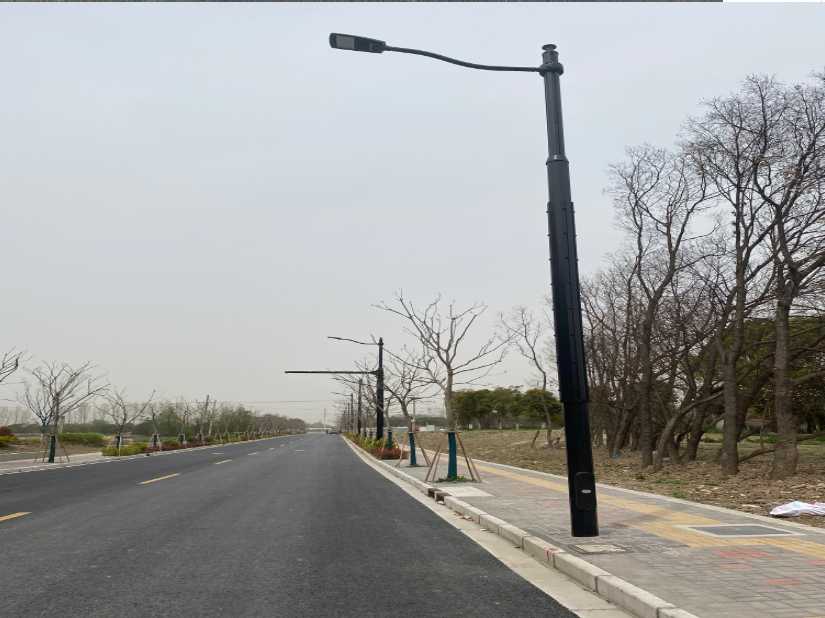 龙圩区上海综合杆 太阳能路灯工程